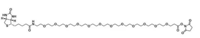 生物素二十四聚乙二醇活性酯