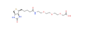 生物素-PEG3-乙酸	