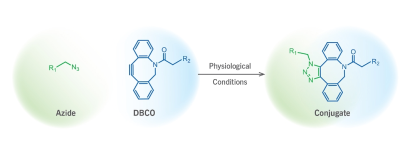 DBCO-CDs；二苯并環辛炔功能化熒光碳點         科研定制