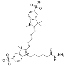 2055138-61-7；diSulfo-Cy5 hydrazide；二磺酸-CY5-酰肼	