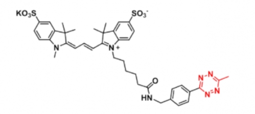 Me-tetrazine-Disulfo-Cyanine3；甲基四嗪-磺酸基Cy3