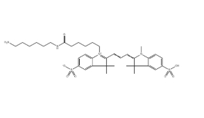 CAS：2183440-43-7，水溶 Cy3-NH2