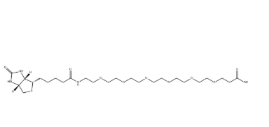 1352814-10-8，(+)-Biotin-PEG6-CH2CH2COOH